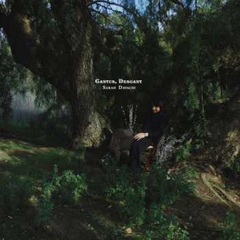Album Sarah Davachi: Cantus, Descant