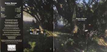 2LP Sarah Davachi: Cantus, Descant