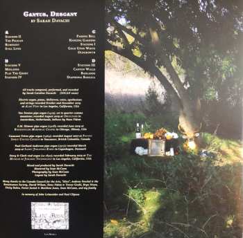 2LP Sarah Davachi: Cantus, Descant