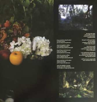 2LP Sarah Davachi: Cantus, Descant