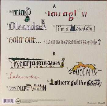 LP Sarah Harmer: I'm A Mountain