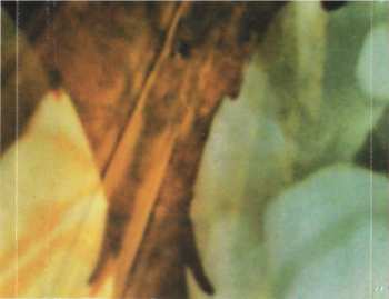 CD/DVD Sarah McLachlan: Afterglow Live