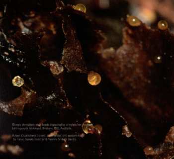 CD Sarah Peebles: Delicate Paths - Music For Shô