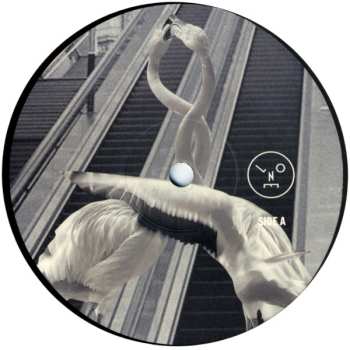 LP Sasha: Love Is All You Need NUM