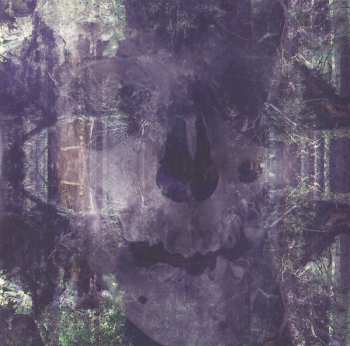 CD Satellite Stories: Pine Trails