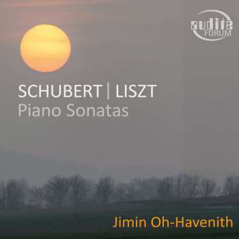 Album Franz Schubert: Piano Sonatas