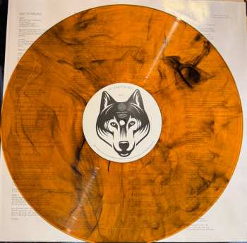 LP Scouting For Girls: Scouting For Girls CLR | LTD