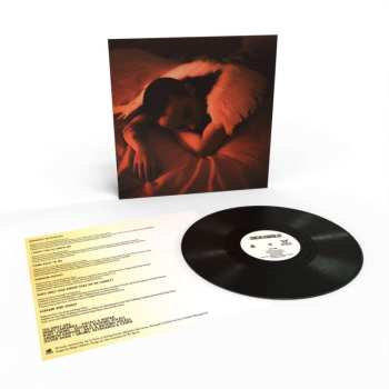 Album Sea Girls: Midnight Butterflies