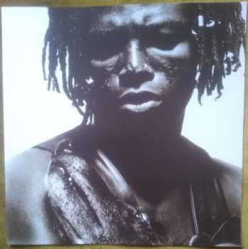 2LP/4CD Seal: Seal (30th Anniversary Edition)