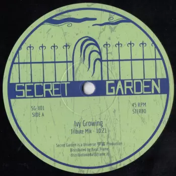 Secret Garden: Ivy Growing