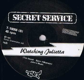 SP Secret Service: Flash In The Night