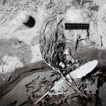 Album David Sylvian: Secrets Of The Beehive