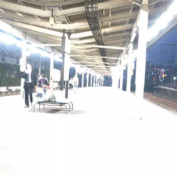 接客 [Sekkyaku]: 忘却と [Oblivion]