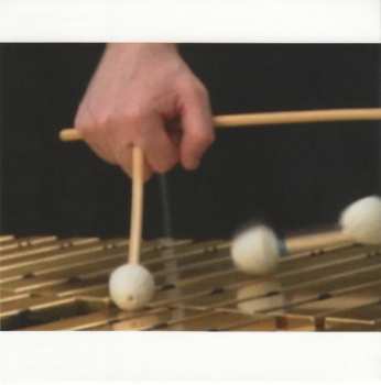 CD Sergio Armaroli Quintet: Introducing A Very Heavy Person First Visit