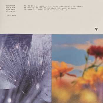 CD Seventeen: Sector 17