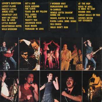 2LP Sha Na Na: The Golden Age Of Rock 'N' Roll