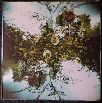 LP Shannon And The Clams: Gone By The Dawn