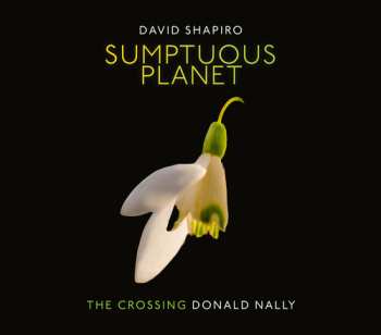 Album Shapiro / Crossing: Sumptuous Planet