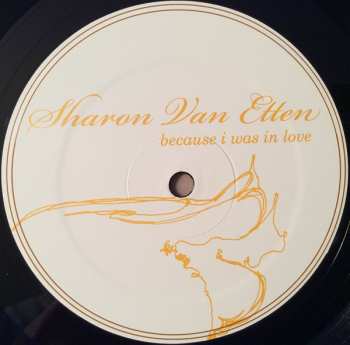 LP Sharon Van Etten: Because I Was In Love