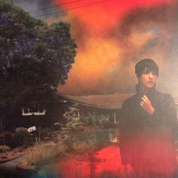 2LP Sharon Van Etten: We've Been Going About This All Wrong