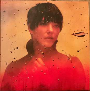 LP Sharon Van Etten: We've Been Going About This All Wrong LTD | CLR