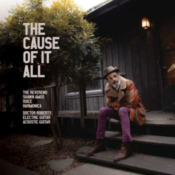 Album Shawn Amos: The Cause Of It All