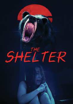 DVD Shelter: Shelter