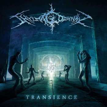 2LP Shylmagoghnar: Transience LTD