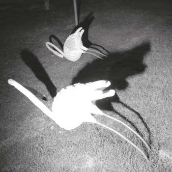 Album Siavash Amini: A Mimesis Of Nothingness