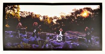 2LP Siena Root: A New Day Dawning LTD