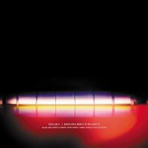 Album Sigillum S: Blues And Doped Flowers From Twenty Three Years After Eschaton