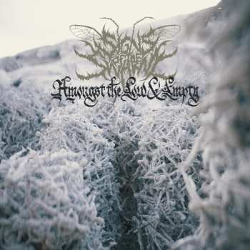 LP Signs of the Swarm: Amongst The Low & Empty CLR