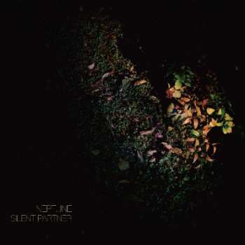 Album Neptune: Silent Partner