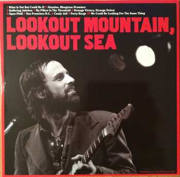 LP Silver Jews: Lookout Mountain, Lookout Sea