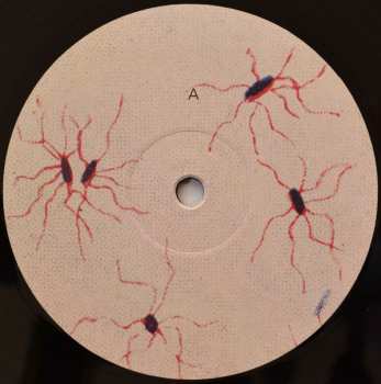 2LP Sóley: Team Dreams