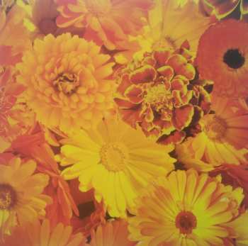 CD Siouxsie & The Banshees: All Souls LTD