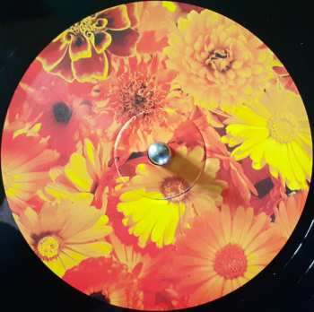 LP Siouxsie & The Banshees: All Souls DLX