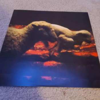 LP Sir Chloe: I Am The Dog CLR | LTD