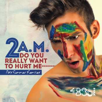 Album 2 AM: The Boy Is Mine / Do You Really Want To Hurt Me