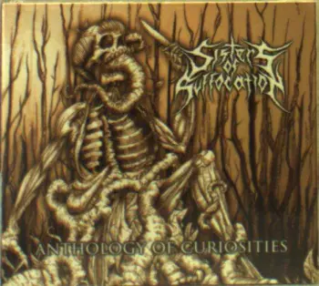 Anthology Of Curiosities