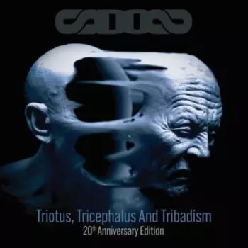 Triotus, Tricephalus And Tribadism