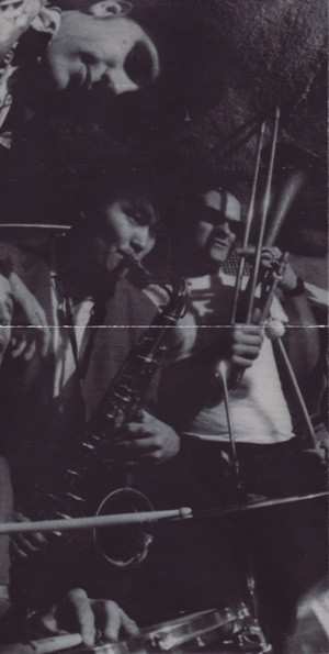 CD Skankin' Pickle: The Green Album