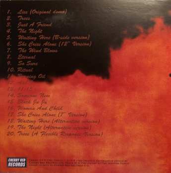 5CD/Set di cofanetti Skeletal Family: Eternal (Singles · Albums · Rarities · BBC Sessions · Live · Demos 1982-2015)
