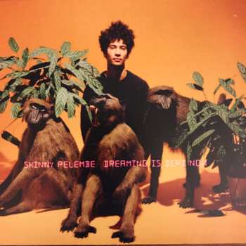 Album Skinny Pelembe: Dreaming Is Dead Now
