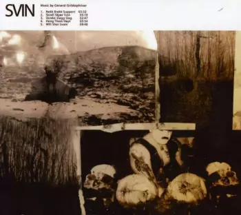 Svin