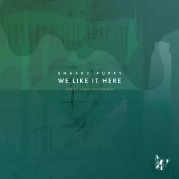 Snarky Puppy: We Like It Here