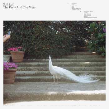 LP Soft Loft: The Party And The Mess Ltd.