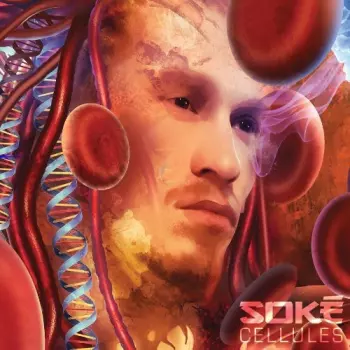 Soké: Cellules