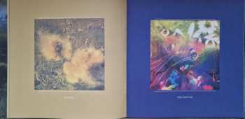 2LP Solar Fields: Formations LTD | CLR