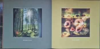 2LP Solar Fields: Formations LTD | CLR